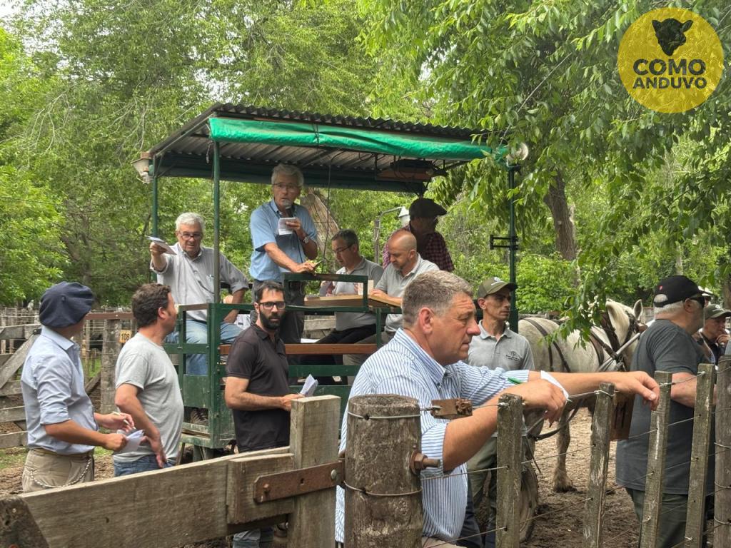 Hourcade, Albelo y Cía